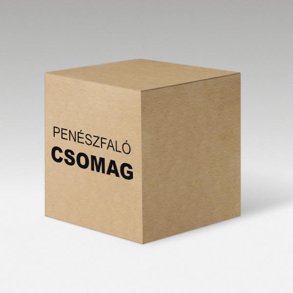 Penészfaló csomag AJÁNDÉK IMMU-AKTIVA készítménnyel
